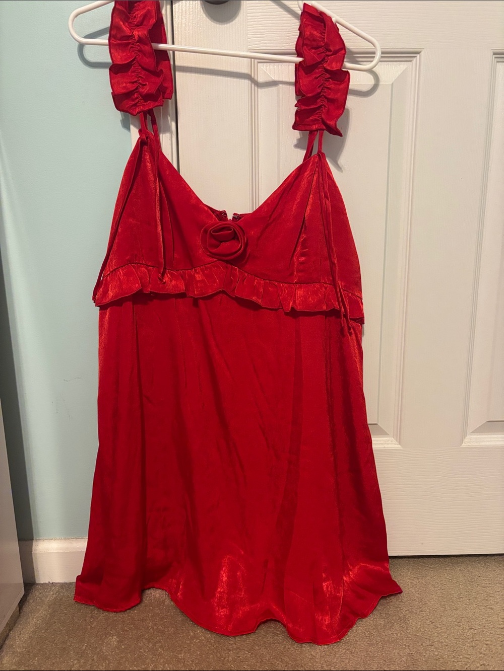 NWT Wild Fable rose dress